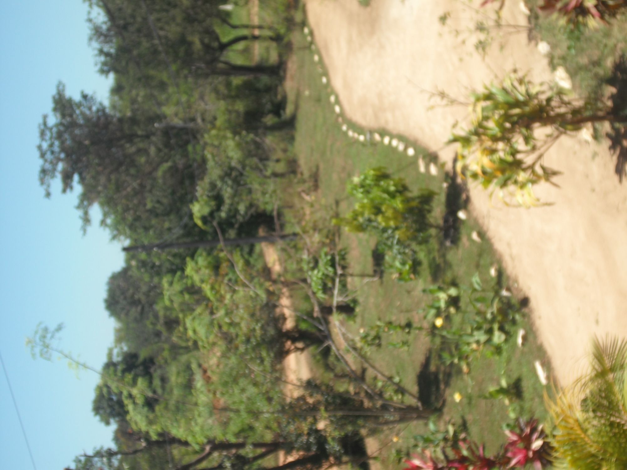 סיגירייה Sinhagiri Villa מראה חיצוני תמונה